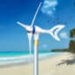Wind turbine on a sunny beach with clear skies.