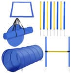 A set of blue and yellow sports equipment.