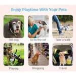 Enjoy playtime with your pets.