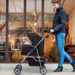 Woman smiling while walking with a dog sitting in a baby stroller on a sidewalk.