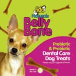 A small dog featured on a promotional image for "fido naturals belly bone" dental care dog treats, highlighting prebiotic and probiotic benefits for digestive health.