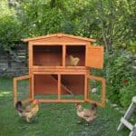 A wooden chicken coop with two chickens in it.