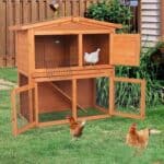 A wooden chicken coop with two chickens in it.