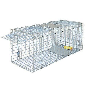 A metal rat trap with a yellow lid.