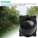 A black ball in an apple orchard with the words no damage.