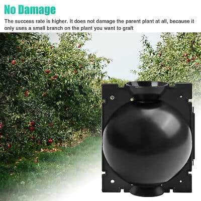 A black ball in an apple orchard with the words no damage.