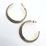 A pair of gold and black hoop earrings.