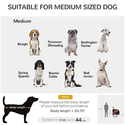 A dog size chart with different breeds.