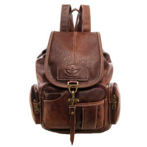 A brown leather backpack with two compartments.