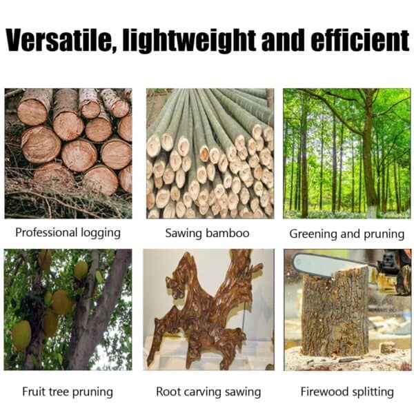 A series of pictures showing different types of wood.