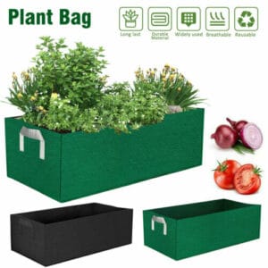 A green plant bag with vegetables in it.