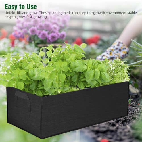 A black garden box with herbs in it.