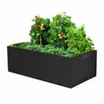 A black raised garden bed with vegetables in it.