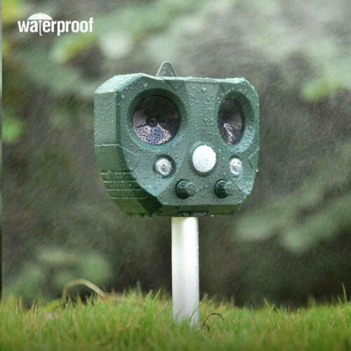 A green waterproof pest control device in the grass.