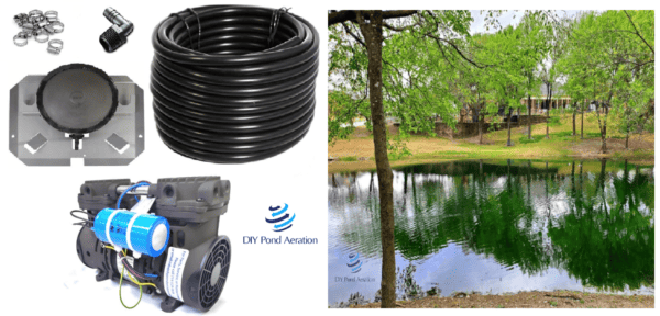A picture of a pond with a water pump and a hose.