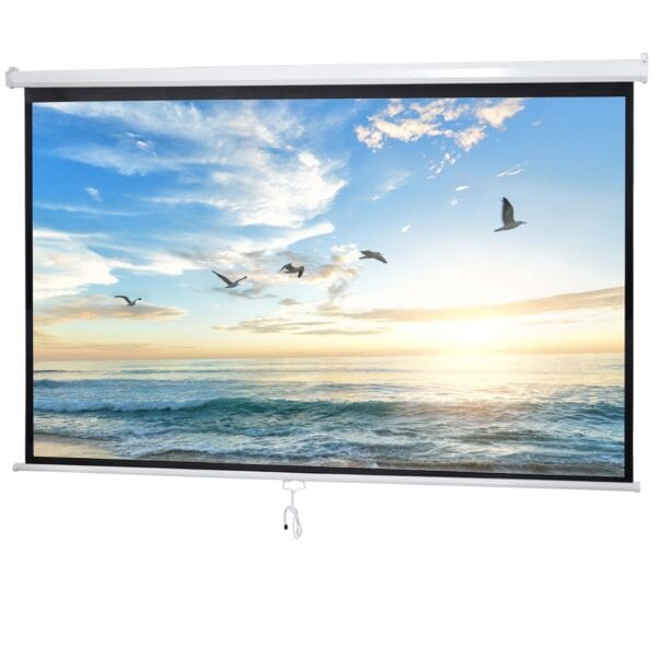 A projection screen with seagulls flying over the ocean.
