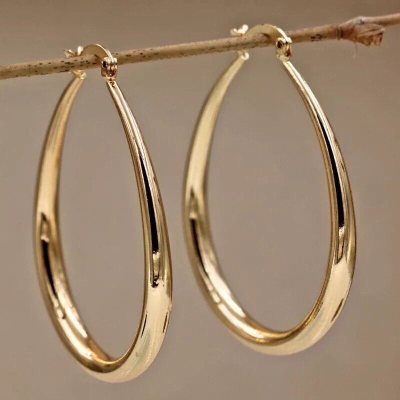 A pair of gold hoop earrings hanging from a branch.