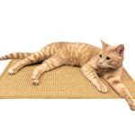 A cat lying on a mat.