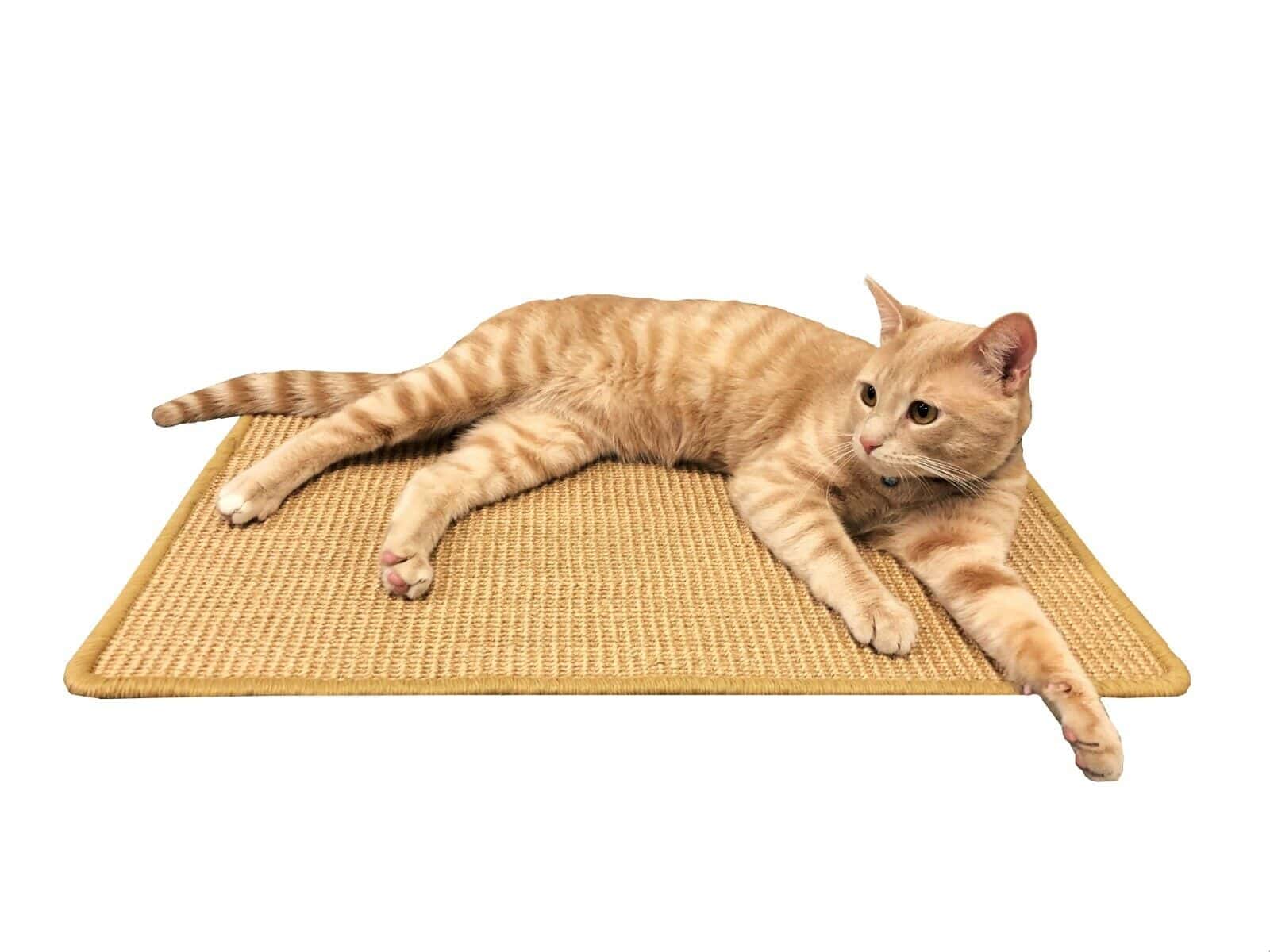 A cat lying on a mat.