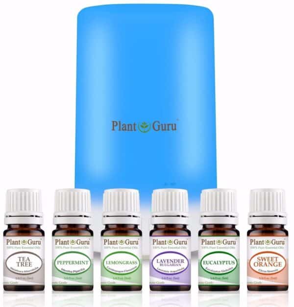 A group of bottles of essential oils.