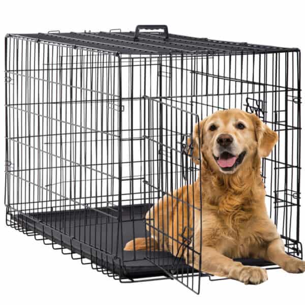 A dog in a cage.