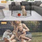 A collage of a woman and a boy in a dog kennel.