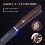 Stainless Steel Bread Knife